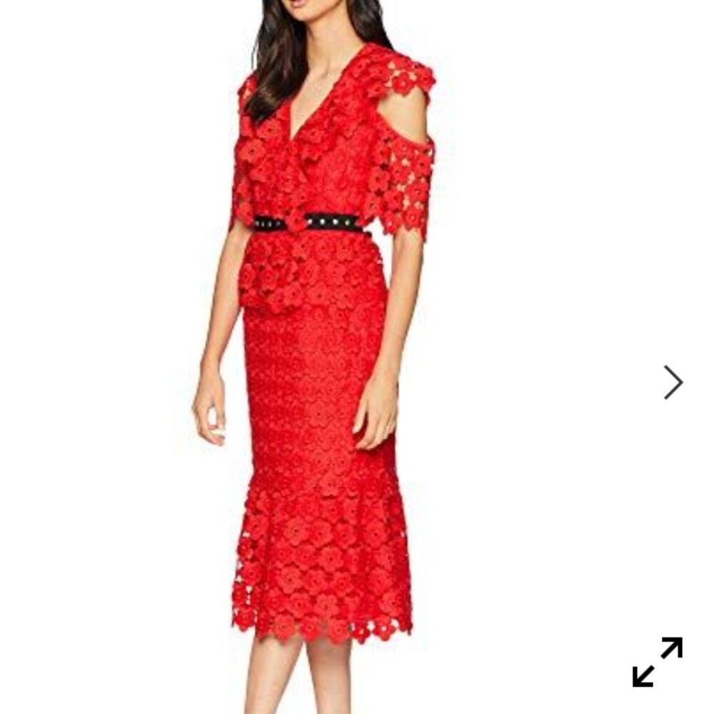 Juicy Couture Floral Guipure Ruffle Sleeve V-Neck Dress
